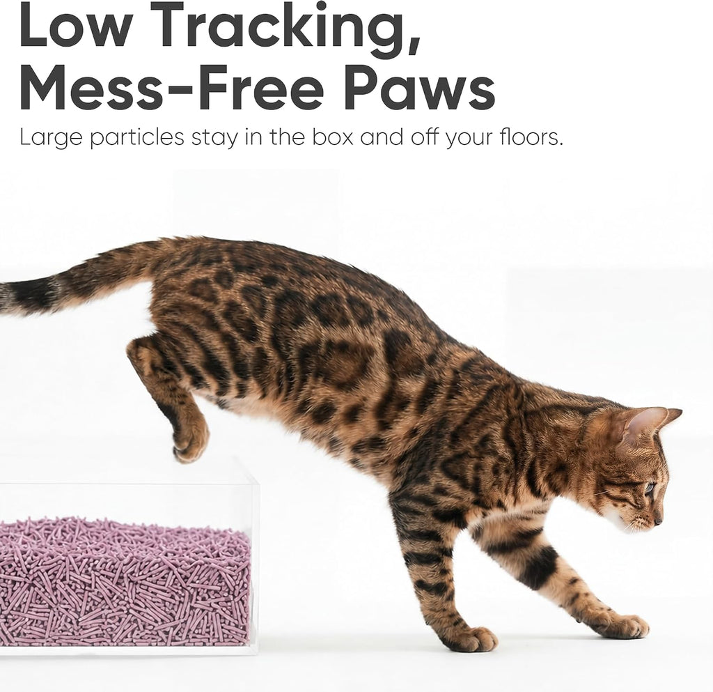Fukumaru Tofu Cat Litter natural ingredients infographic