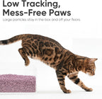 Fukumaru Tofu Cat Litter natural ingredients infographic