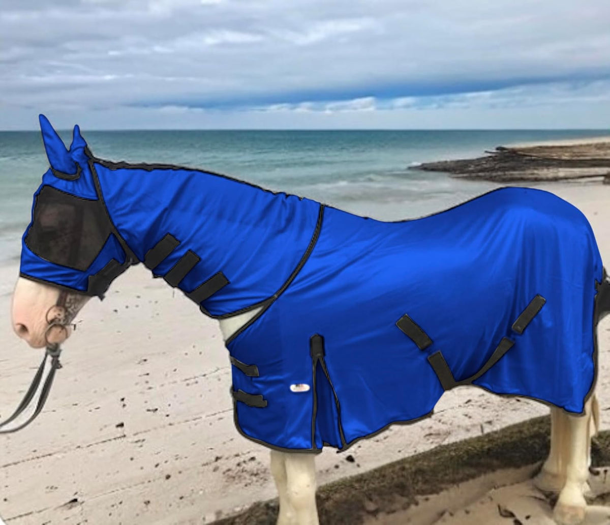 Majestic Ally Horse Fly Sheet in Royal Blue front view showing full body equine protection layout