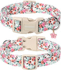 Dogwong pink floral pet collar with sturdy buckle detail