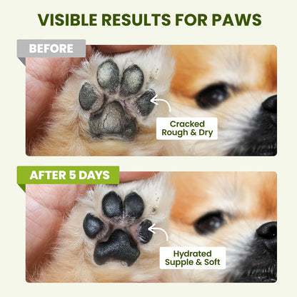 PawSono lick-safe balm being applied to a dog nose