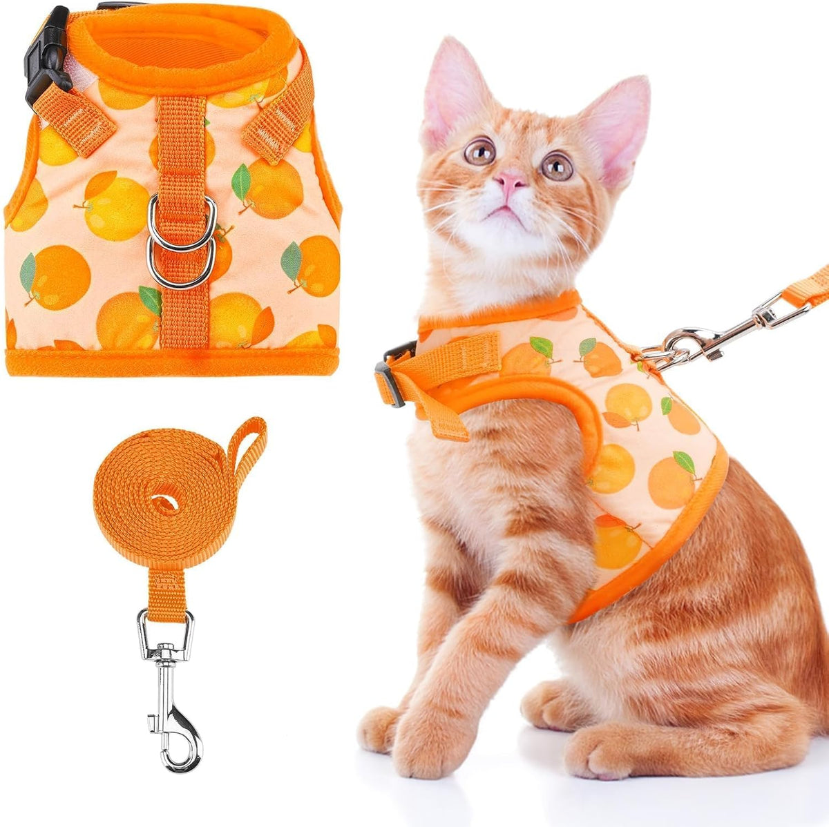 Premium Bingpet adjustable pet harness and lead kit for secure outdoor travel