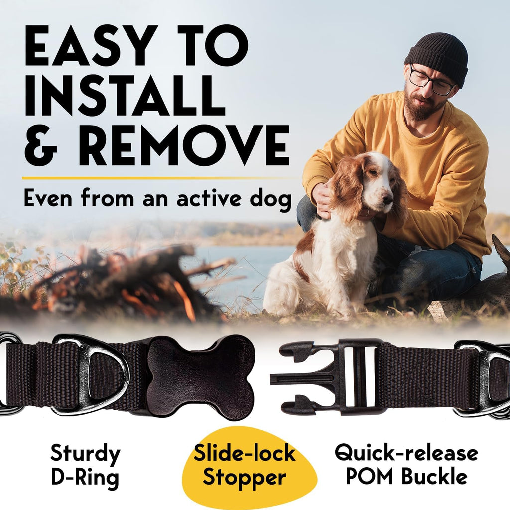 PetJett no pull stainless steel dog collar attached to a leash via the sturdy metal D ring