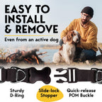 PetJett no pull stainless steel dog collar attached to a leash via the sturdy metal D ring