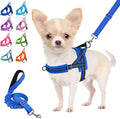 Lukovee blue no pull harness and leash set front view