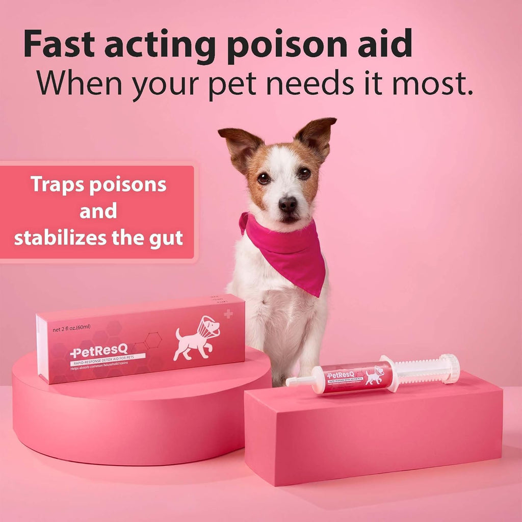 Veterinary grade activated charcoal paste for dog and cat first aid kits