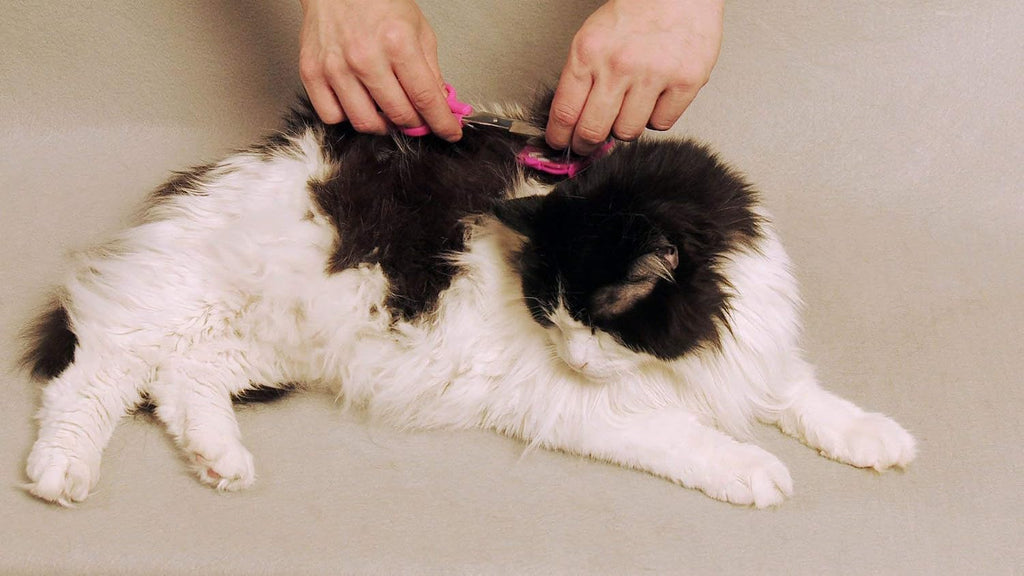 The complete Scaredy Cut silent grooming system packaging showing all original components imported from the USA.