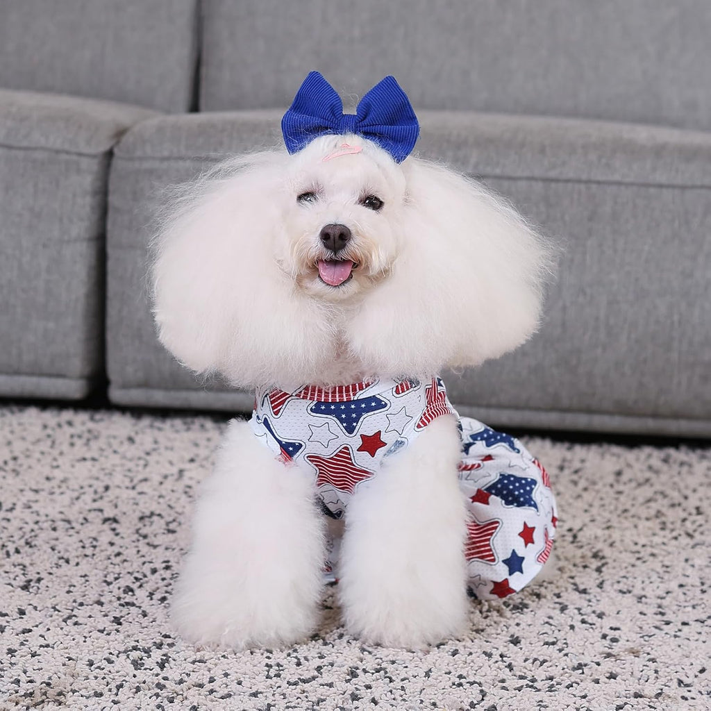 CuteBone athleisure puppy skirt crop top set on a small breed dog.