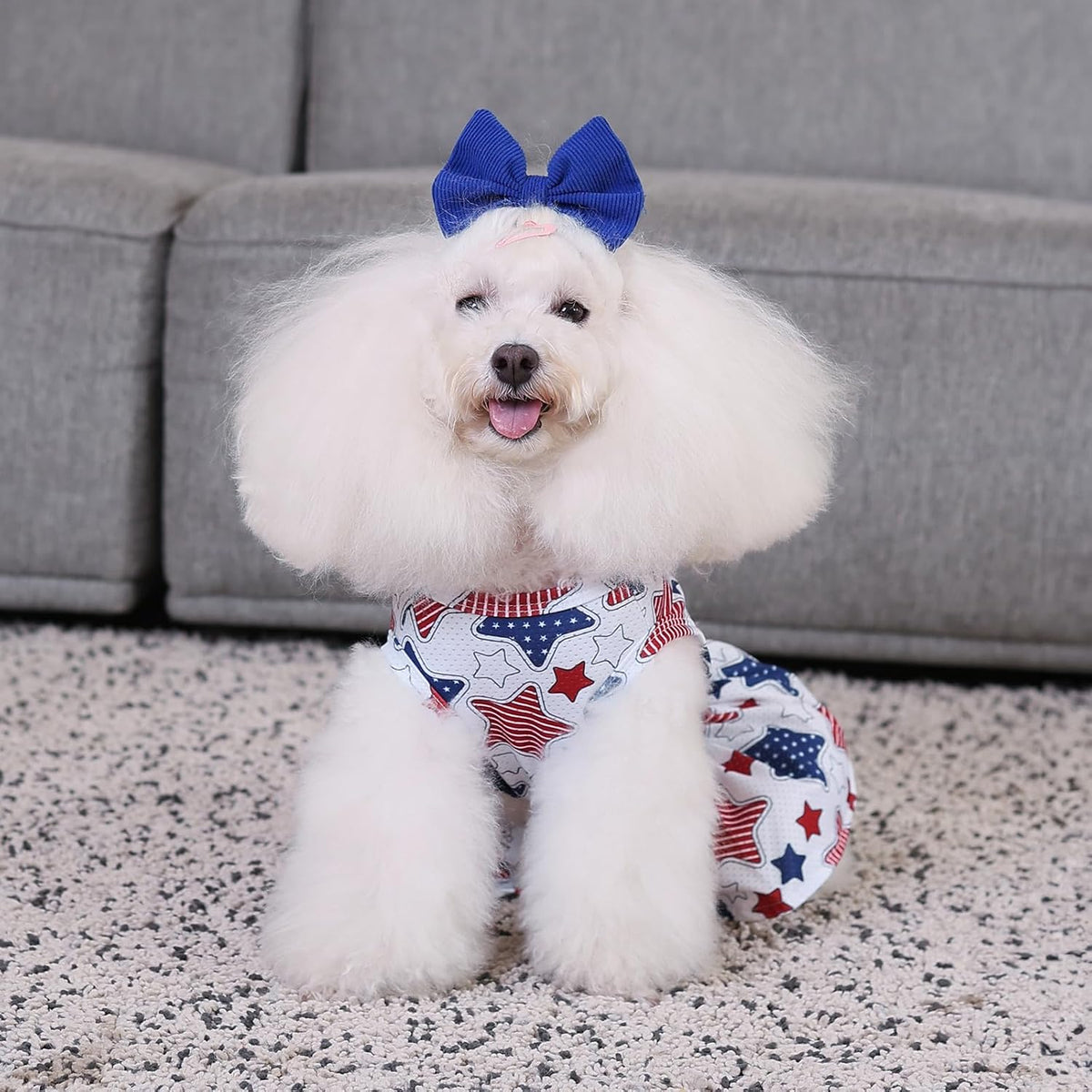 CuteBone athleisure puppy skirt crop top set on a small breed dog.