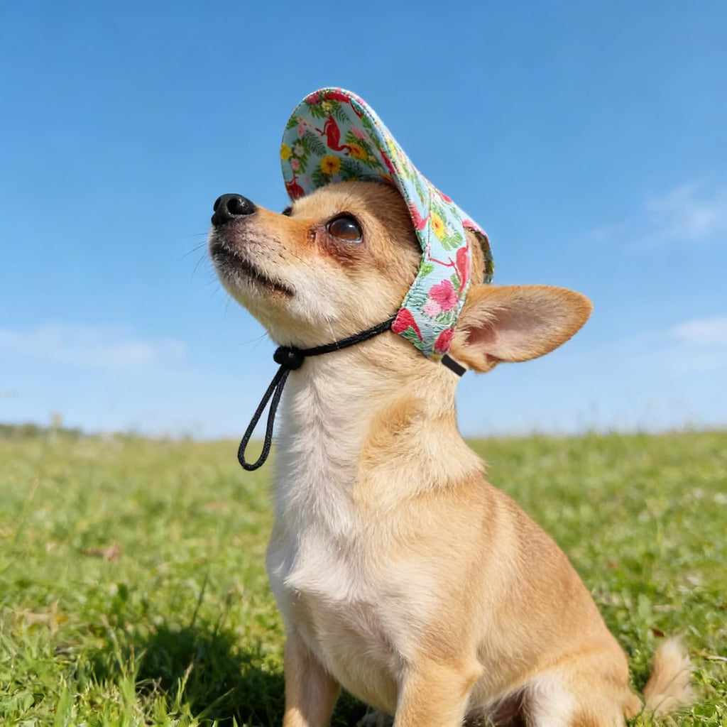 Top down view of dog visor hat for sun protection