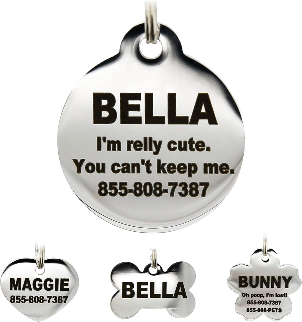 PetANTastic small size engraved pet name plate for active dogs.