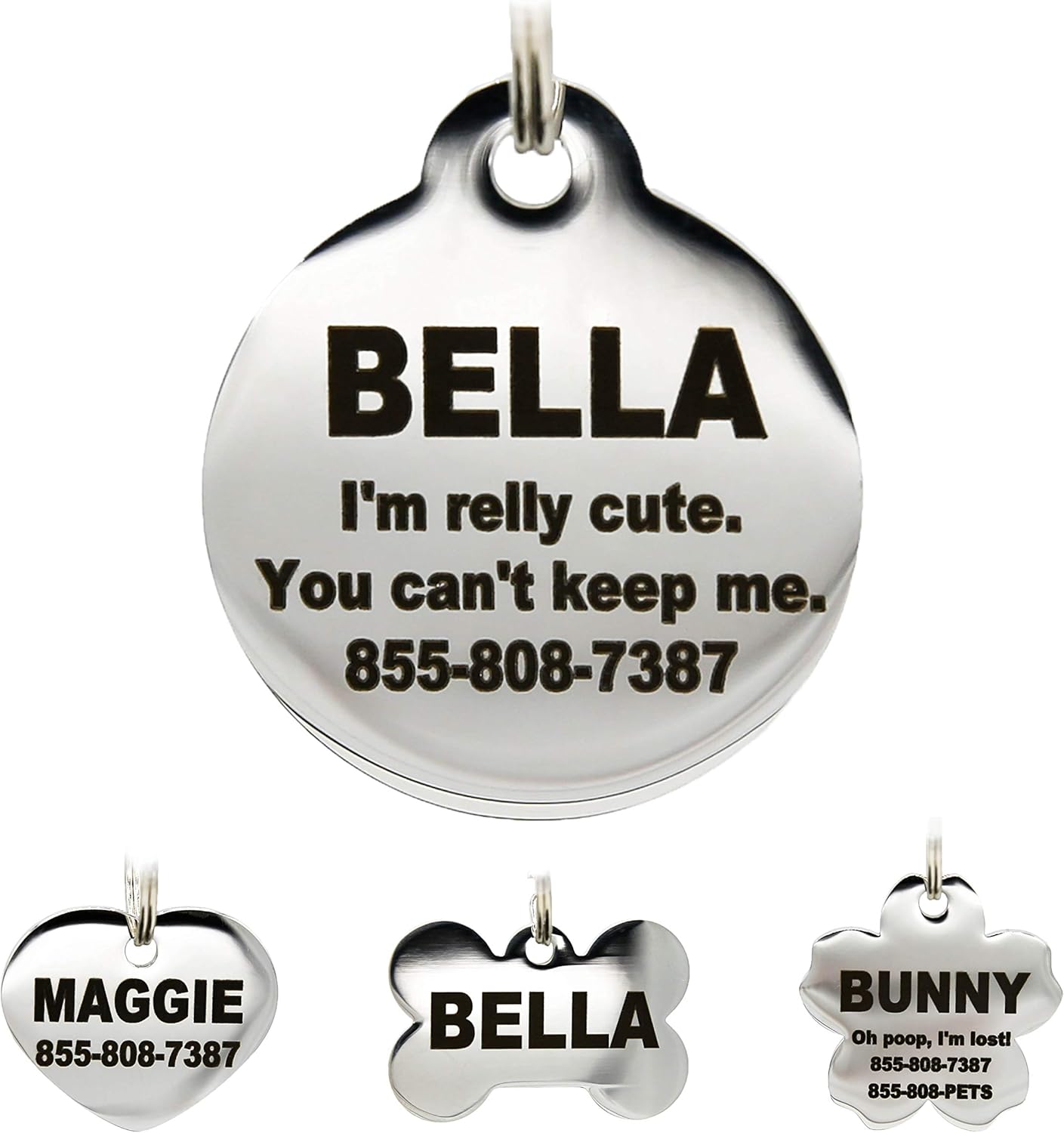 PetANTastic small size engraved pet name plate for active dogs.