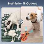 PawBehave dog trainer LED flashlight feature in use at night