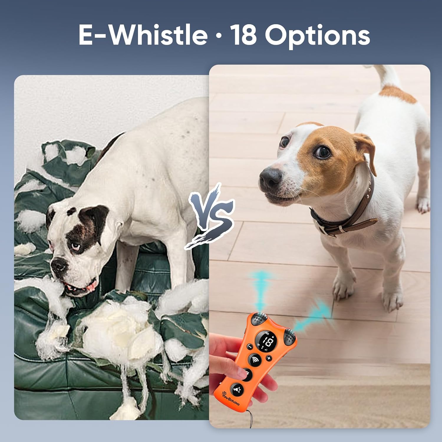 PawBehave dog trainer LED flashlight feature in use at night