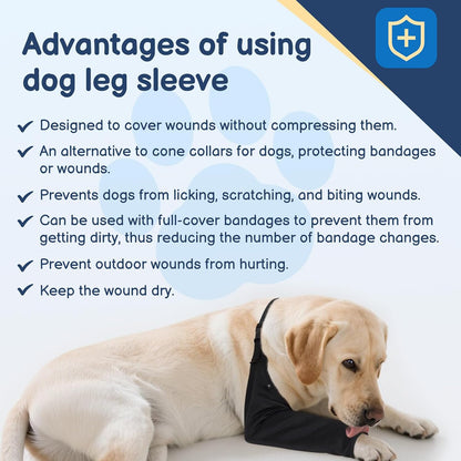 Barkless dog recovery suit for front leg after surgery product demonstration