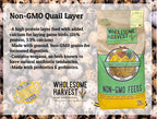Non-GMO Quail Layer Feed 26% - Premium 10 lb Food for Laying Birds, Button Food - Image 5