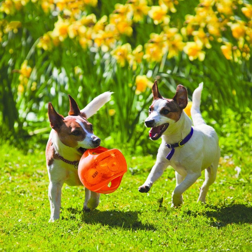 Blue KONG Jumbler Ball showing internal tennis ball