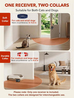 MIMOFPET electronic pet boundary device showing the bright digital color display panel.