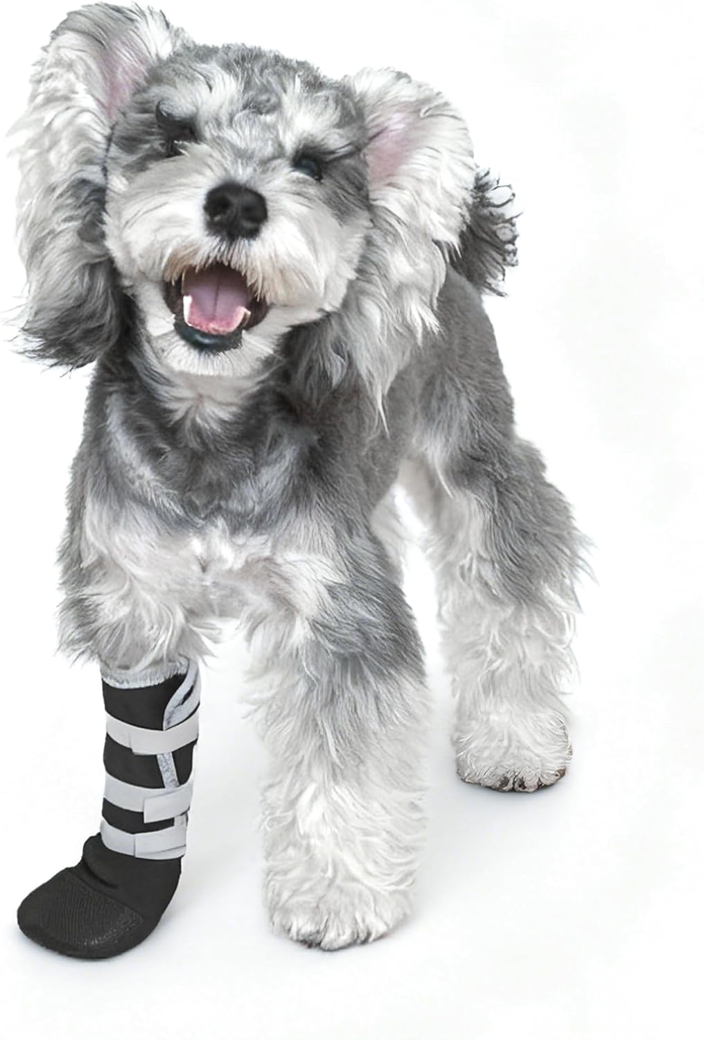 Snugrance dog paw wound recovery boots front view