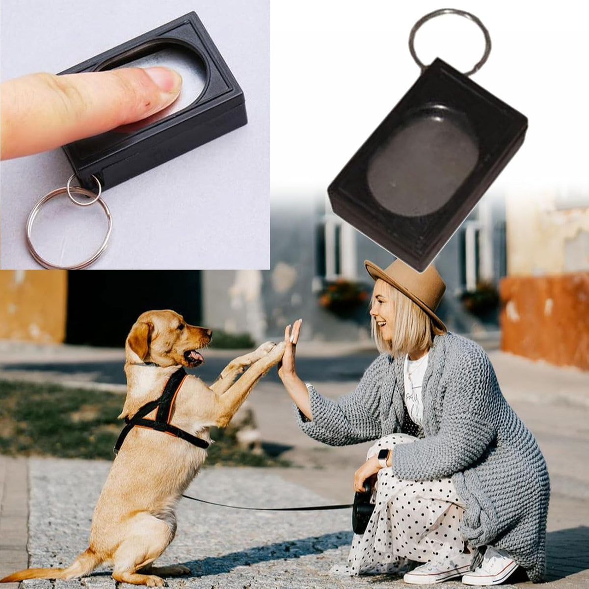 Generic black and lime green pet training clickers side by side view
