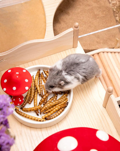 Niteangel small critter foraging treats ingredient illustration