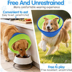 Instructions visualization for measuring neck circumference for dog cone