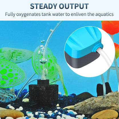 Small aquarium setup with Pawfly filtration system