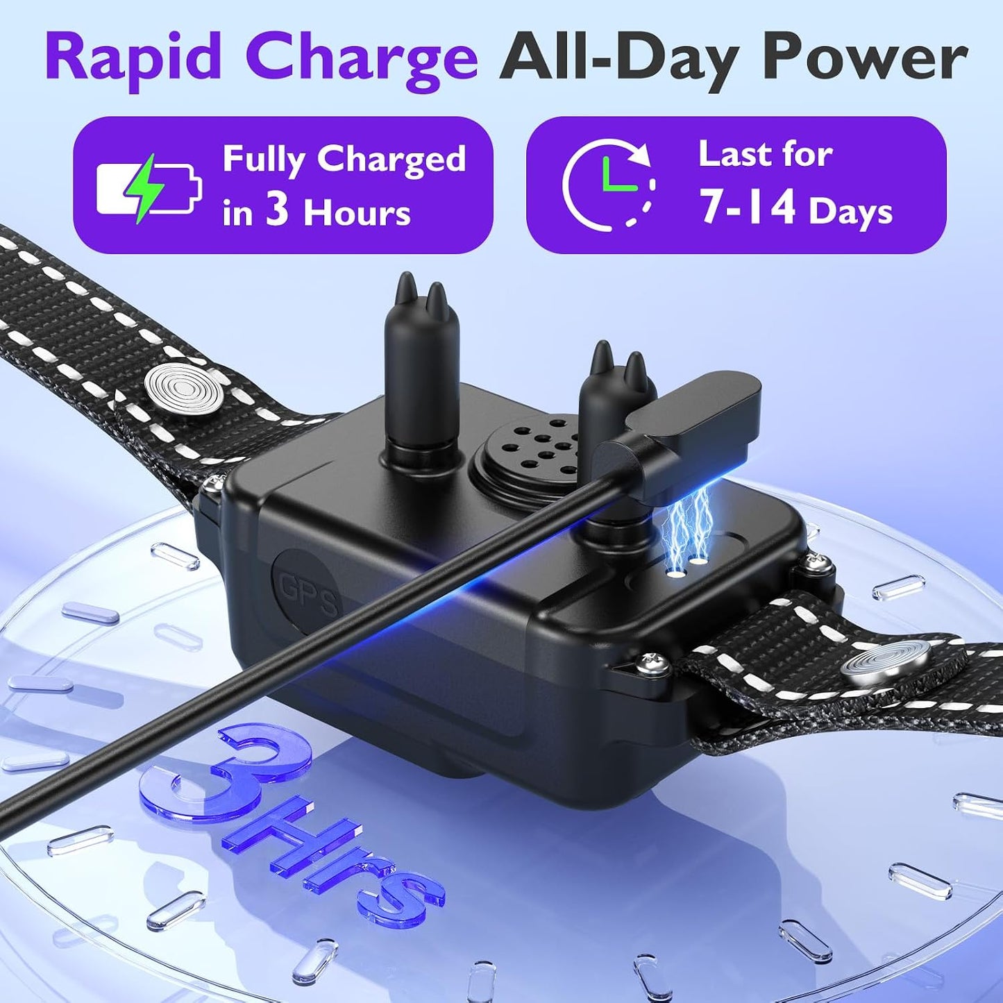 Midnight black smart dog collar shown next to its magnetic charging cable accessory.