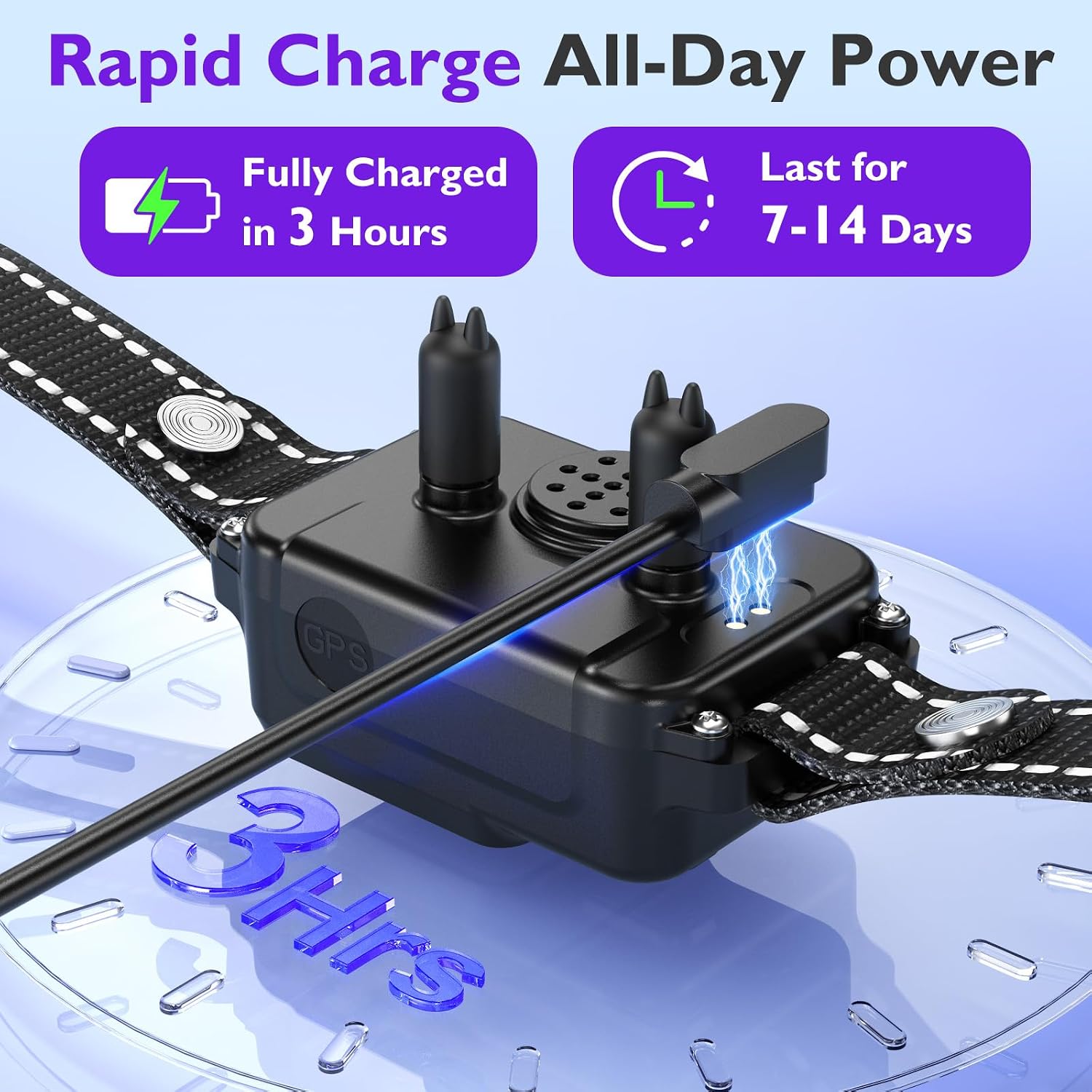 Midnight black smart dog collar shown next to its magnetic charging cable accessory.