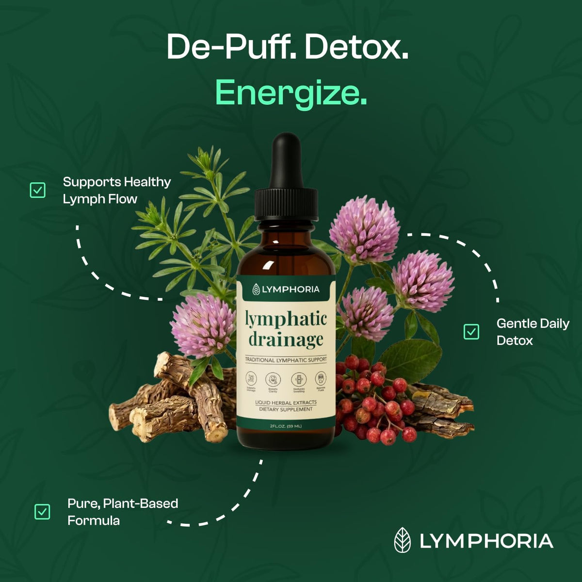 Lymphatic Drainage Drops for Bloat Relief & De-Puff - Cleavers, Red Clover, Stillingia Root & Prickly Ash Bark - Lymph Node Detox Cleanse, Fluid Retention - Alcohol-Free, Vegan, 2 Fl Oz - Image 2
