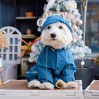 Mabawa waterproof dog jacket blue showing the flexible TPU material texture