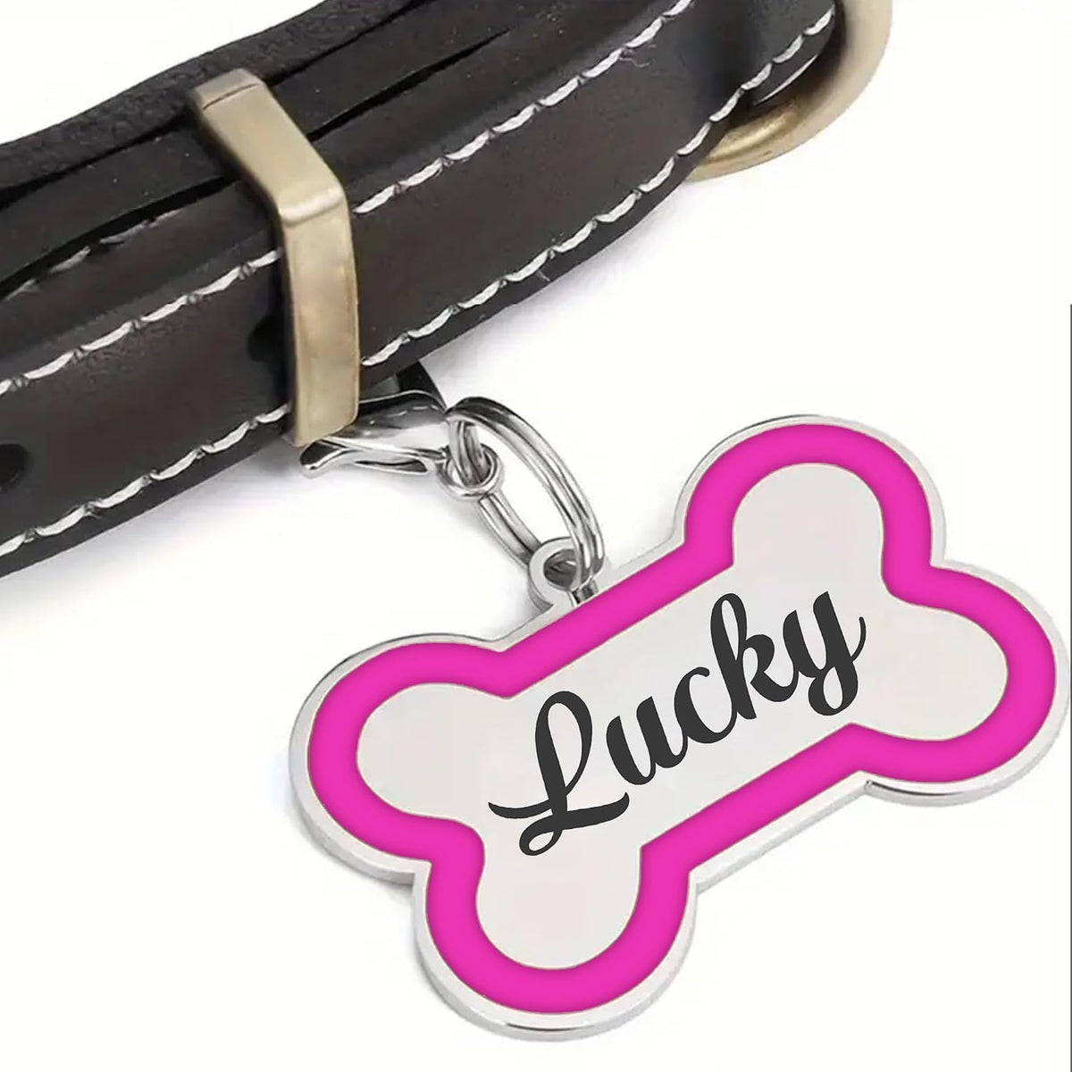 EDSG personalized puppy collar tag attached to a small dog collar with split ring.