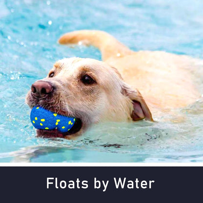 Golden Retriever catching Cheodin dog tennis ball