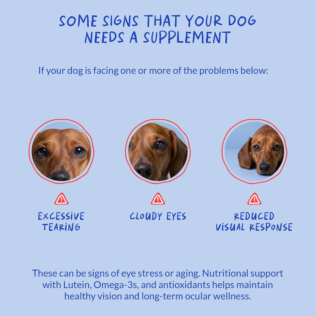 Coco and Luna veterinarian formulated eye support soft chews for dogs