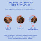 Coco and Luna veterinarian formulated eye support soft chews for dogs