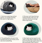 Medium size Meowfia cat house in modern living room