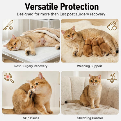 Packaging of Avont 2-pack cat recovery suit for surgery
