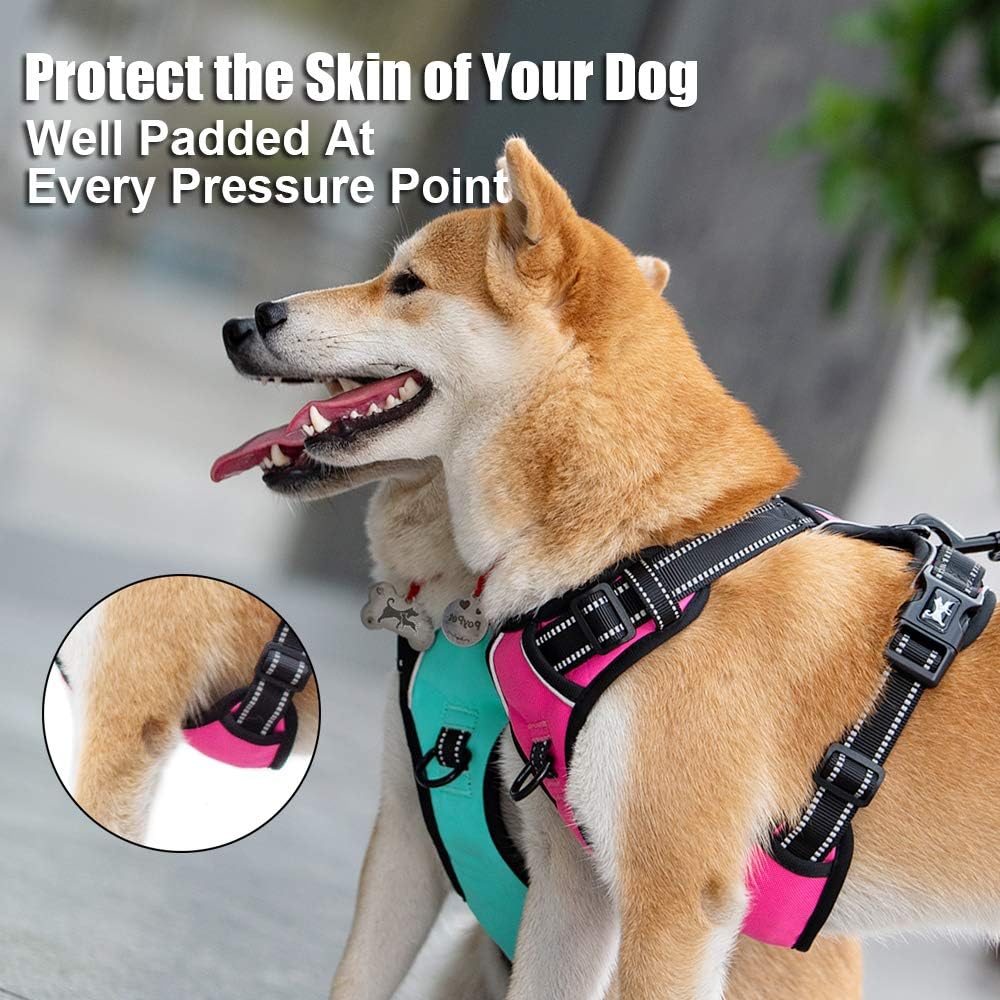 Side profile of poypet harness with adjustable straps