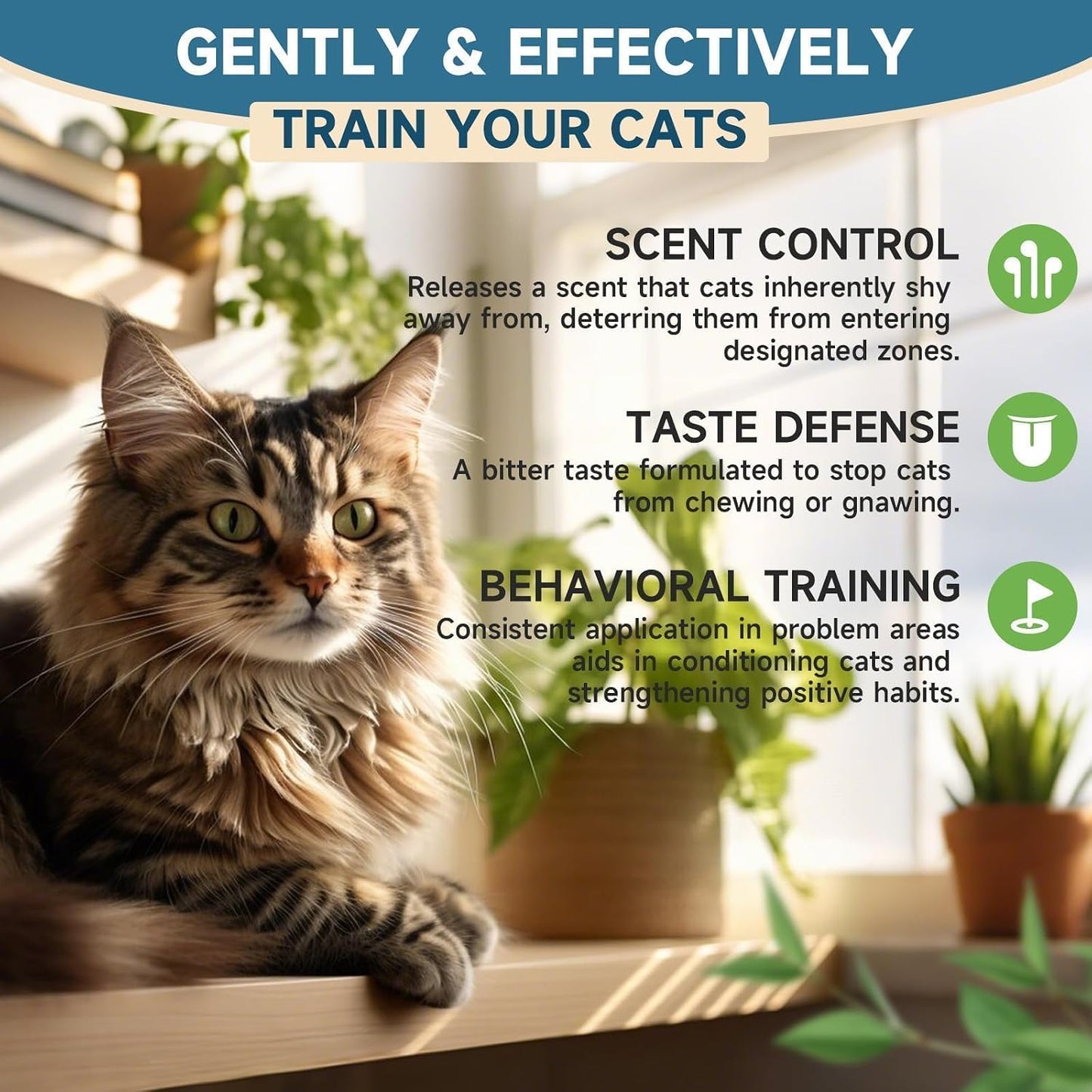 VICSOM pet behavior training aid spray bottle packaging dimensions view