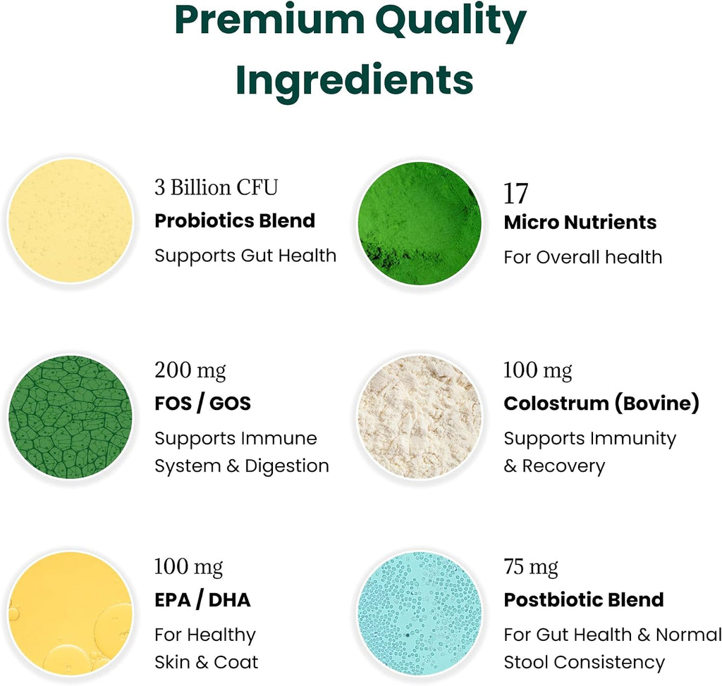 Premium imported USA dog digestive supplement jar with sixty soft chews.