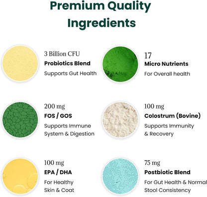 Premium imported USA dog digestive supplement jar with sixty soft chews.