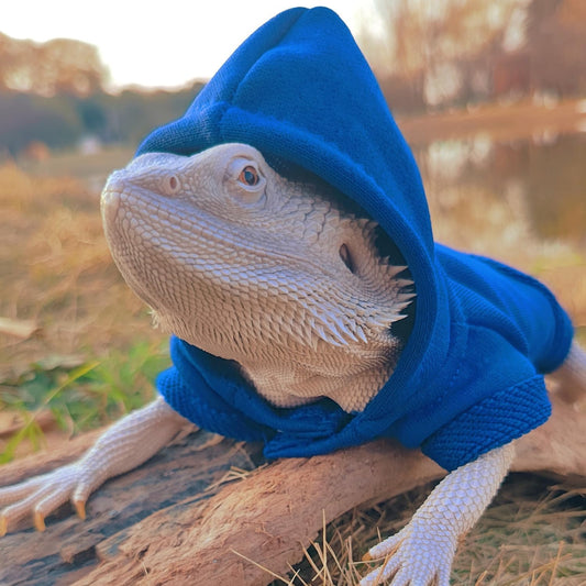 Blue large lizard costume with adjustable velcro strip closure