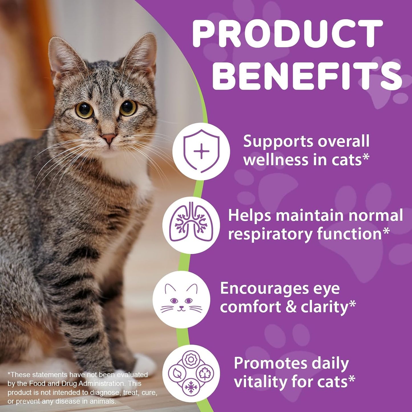 Lysine for Cats - L-Lysine Supplement for Eye Function & Respiratory Health, Lysine for Sneezing, Runny Nose, Immune Support - Chicken Flavor - Image 3