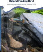 Transparent aquarium directional feeder setup with multi-level feeding solutions