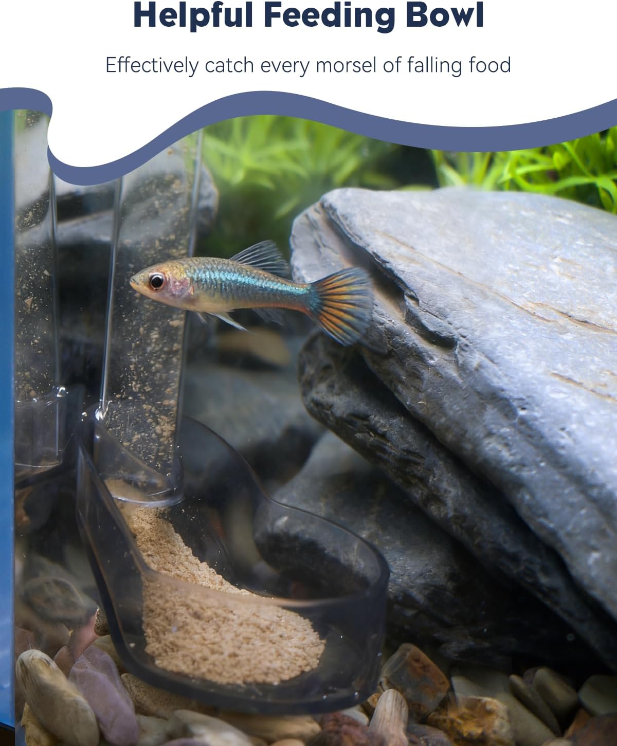 Transparent aquarium directional feeder setup with multi-level feeding solutions