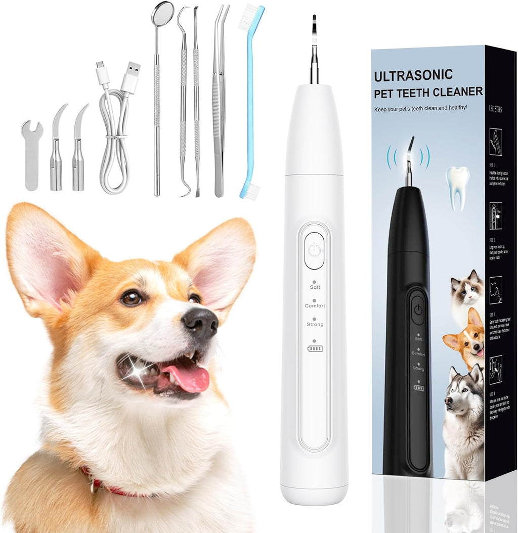 Saruel Ultrasonic Dog Plaque Remover Tool front view