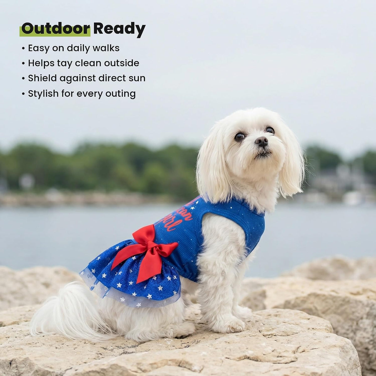 Fitwarm premium imported pet dress displayed on a clean background
