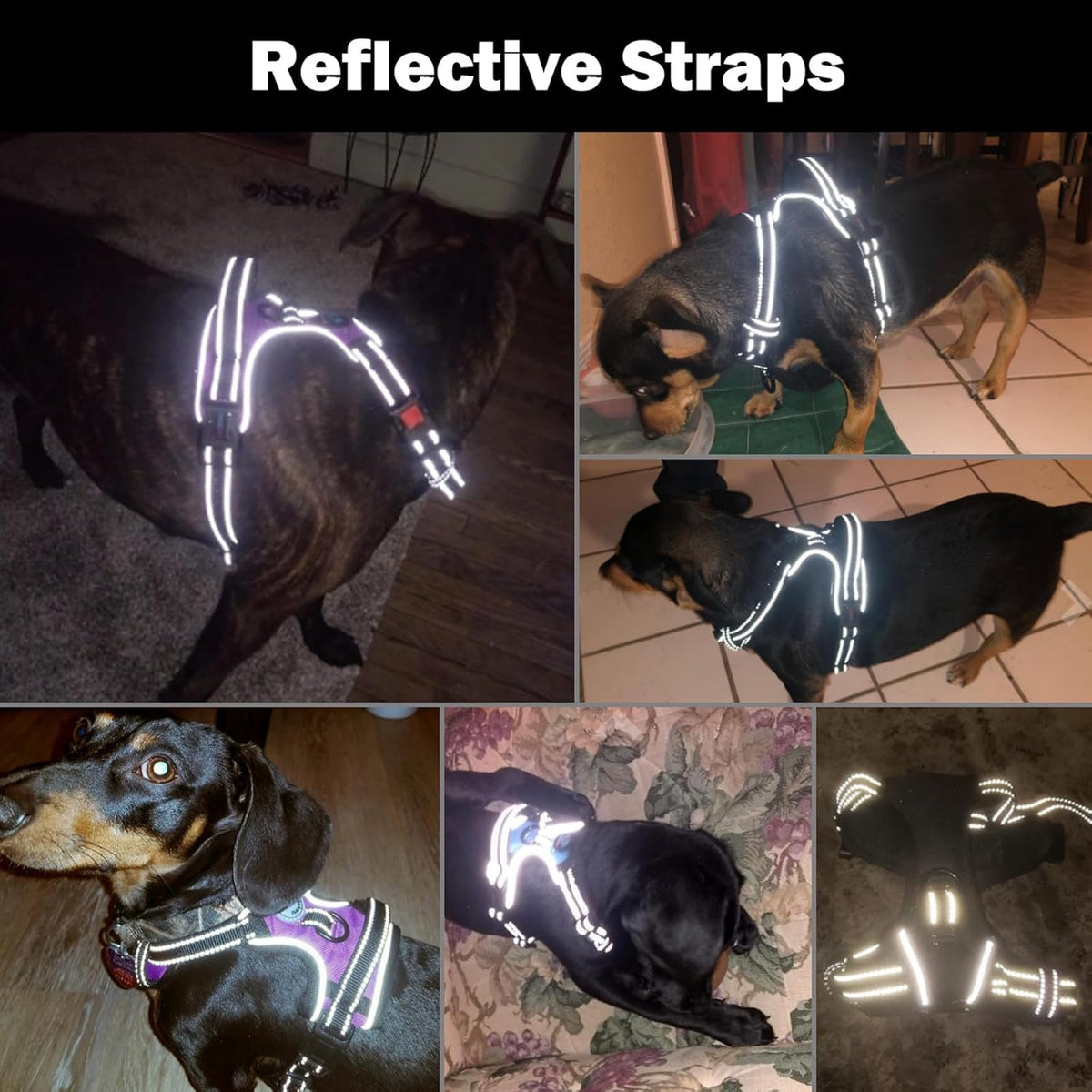 Detailed view of the 3-buckle easy wear harness design