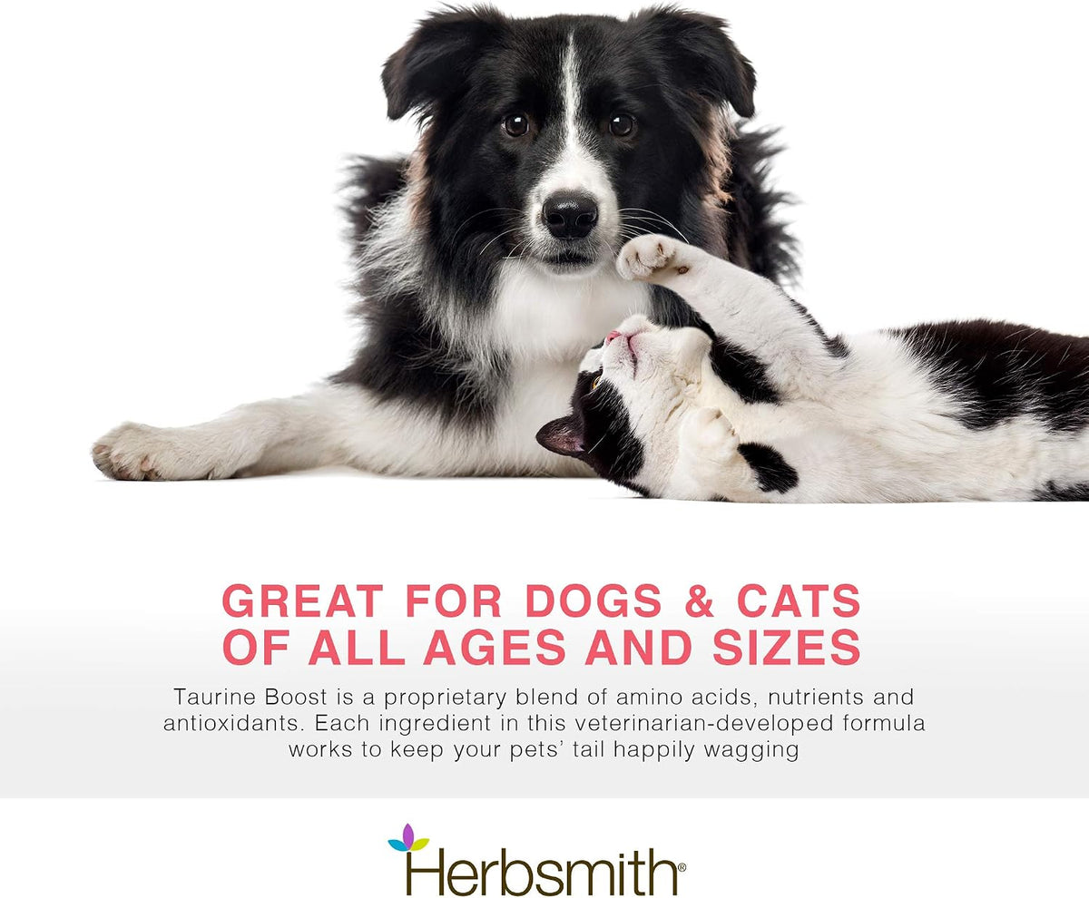 Herbsmith Taurine Boost supplement scoop with fish flavored powder for daily pet food topper