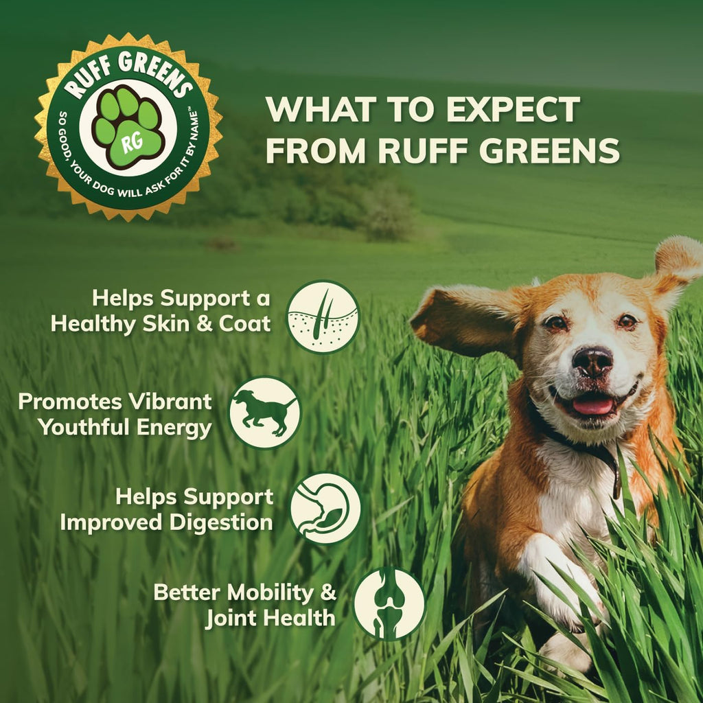 Dog enjoying meal with Ruff Greens topper sprinkled on top.
